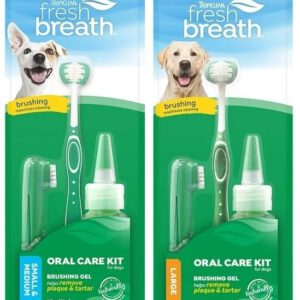 Oral care kit med två tandborstar och tandkräm för din hund