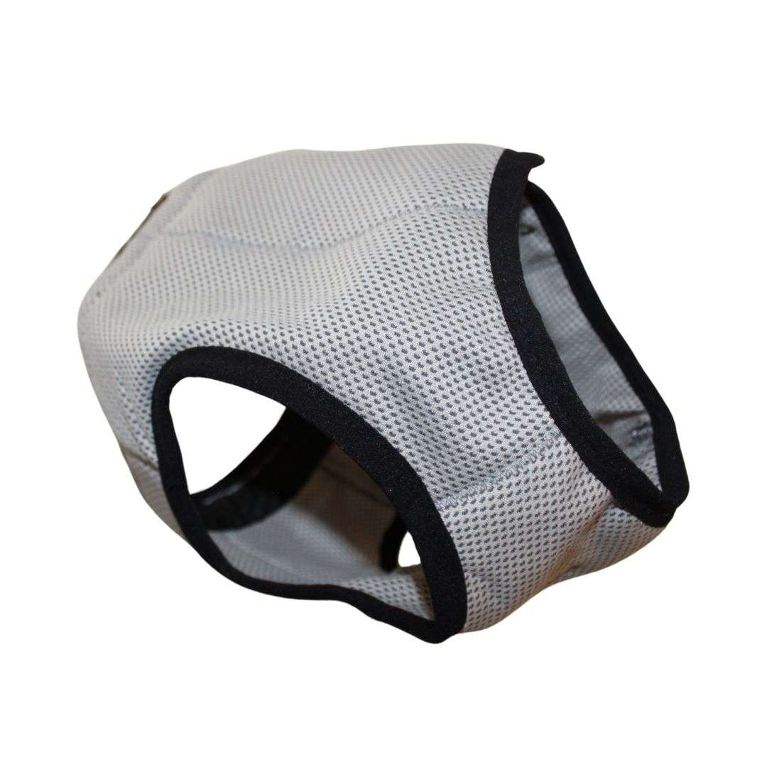 Kylväst kylväst för hund och katt