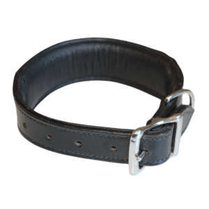 Läderhalsband med nitar till hund