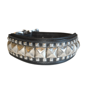Läderhalsband med nitar