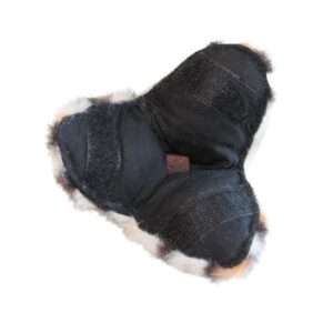 Belöningsgömma till hund