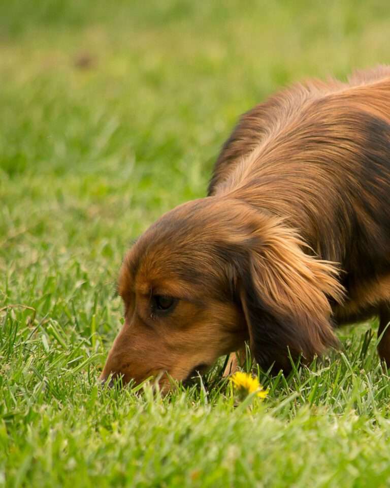 Kurs i personspår i alvesta