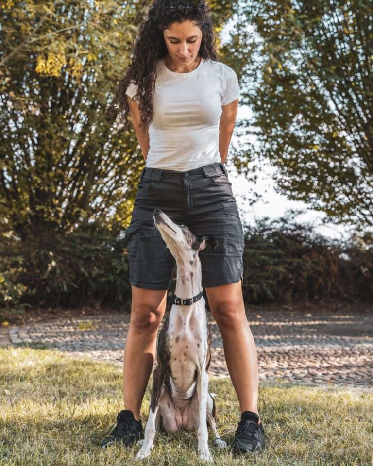 Roligare vardag hundkurs i trix, aktivering och vardagslydnad