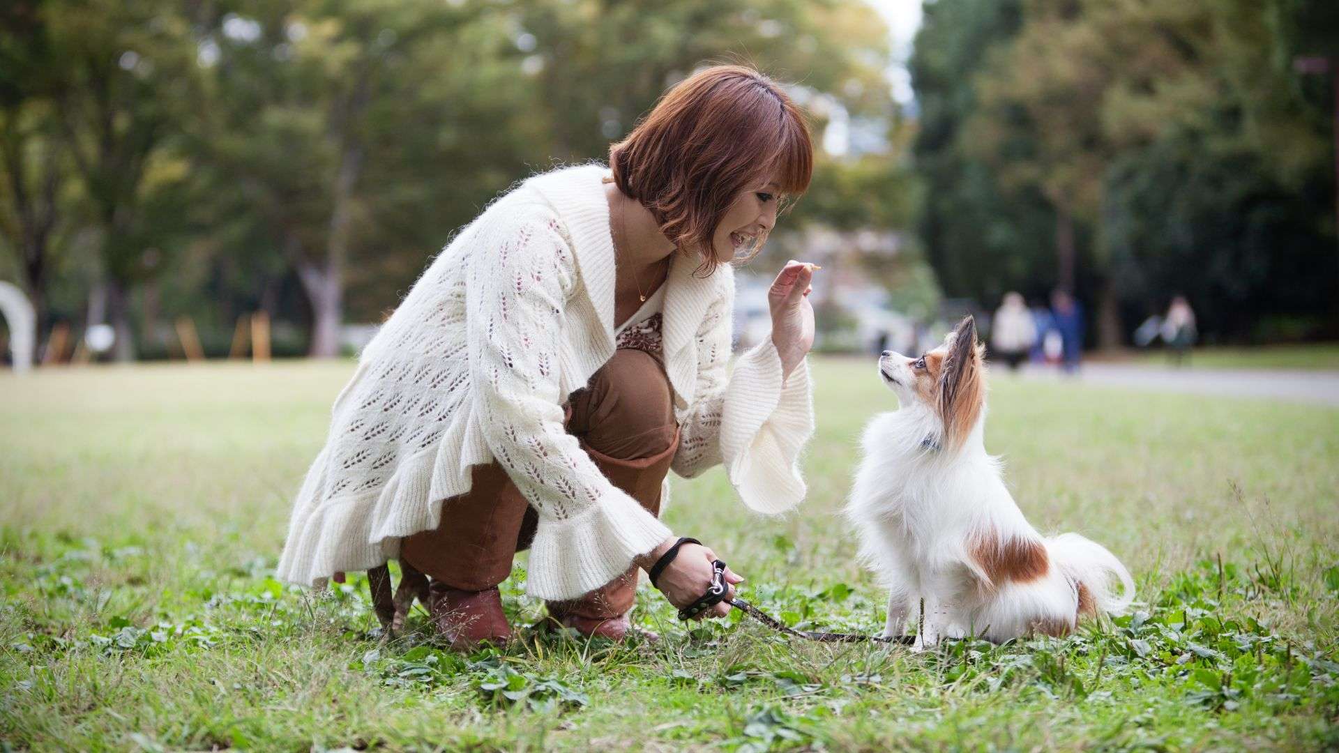 Roligare vardag hundkurs i trix, aktivering och vardagslydnad