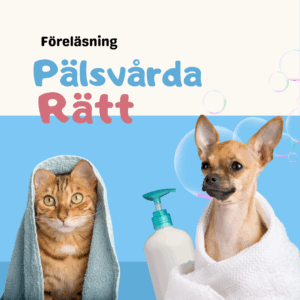 Pälsvårda Rätt