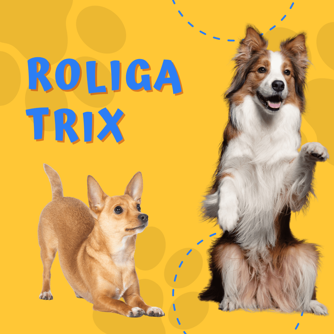 Roliga trix