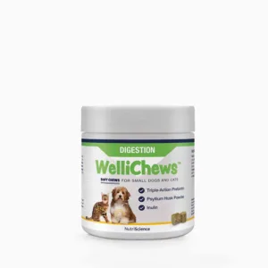 WelliChews Digestion