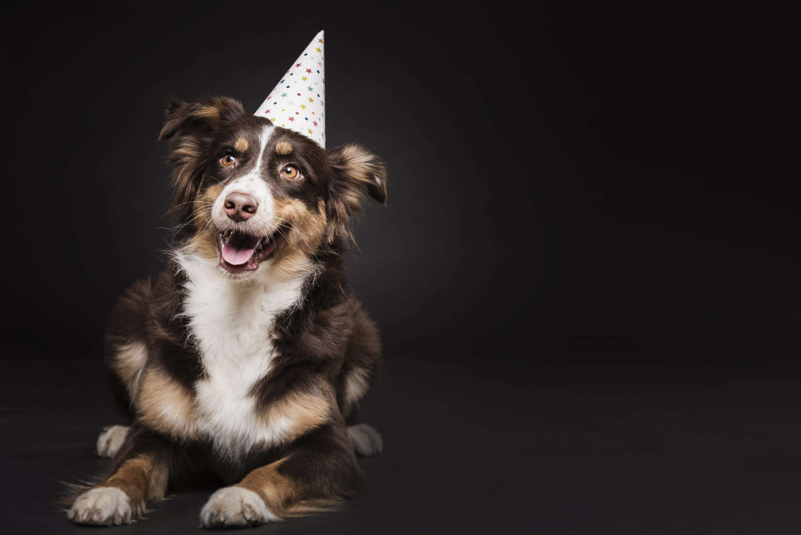 Invigning av Zvanza butik och salong i alvesta