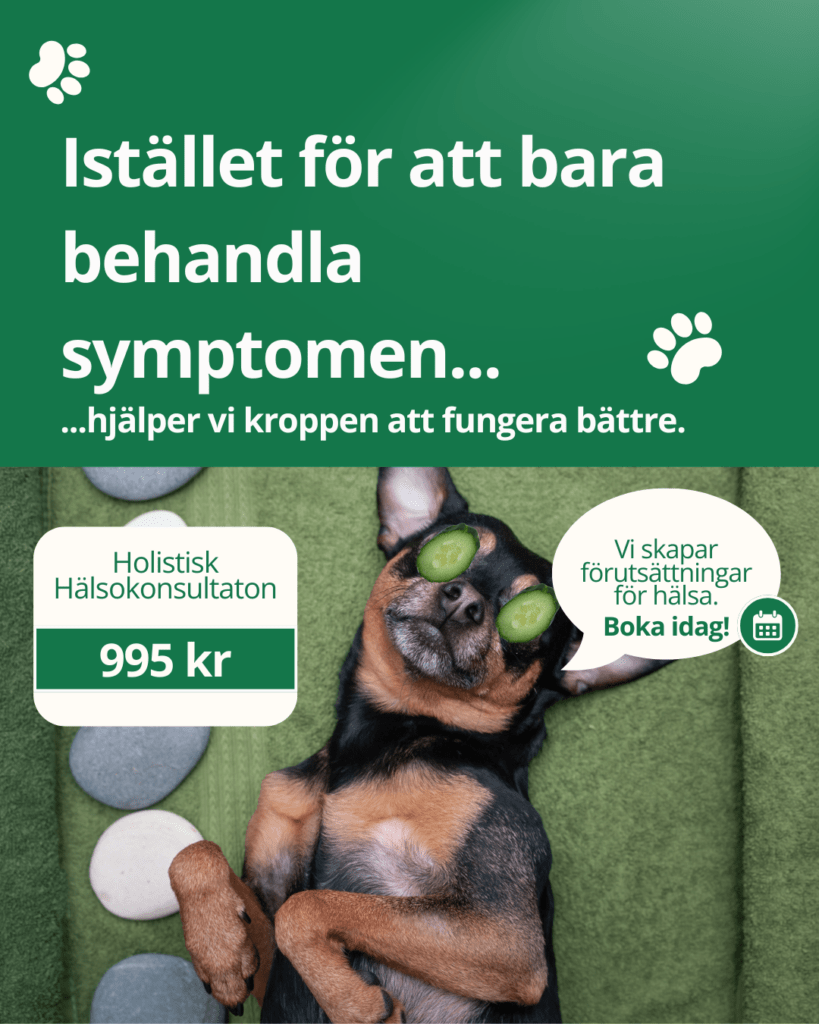 Holistisk hälsokonsultation Istället för att bara behandla symptomen... ...hjälper vi kroppen att fungera bättre.