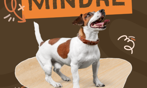 miniatyr för kurs
