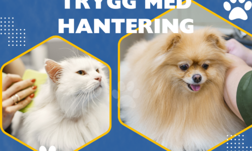 miniatyr för kurs