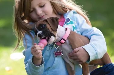 Socialisera din hund med barn